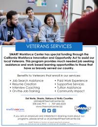 smart vet flyer